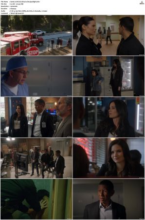 NCIS S20 1080p AMZN WEB-DL x265 HEVC DDP 5 1-PHOCiS