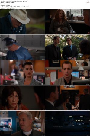 NCIS S09 1080p AMZN WEB-DL x265 HEVC DDP 5 1-PHOCiS