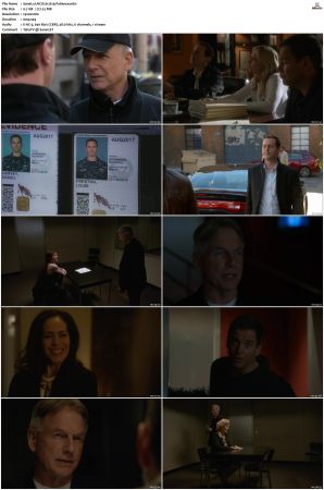 NCIS S12 1080p AMZN WEB-DL x265 HEVC DDP 5 1-PHOCiS