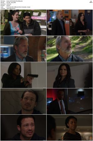 NCIS S19 1080p AMZN WEB-DL x265 HEVC DDP 5 1-PHOCiS