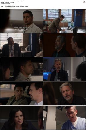 NCIS S19 1080p AMZN WEB-DL x265 HEVC DDP 5 1-PHOCiS
