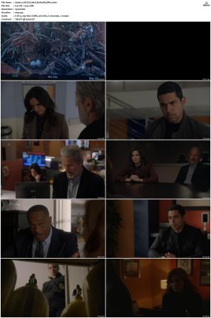NCIS S20 1080p AMZN WEB-DL x265 HEVC DDP 5 1-PHOCiS