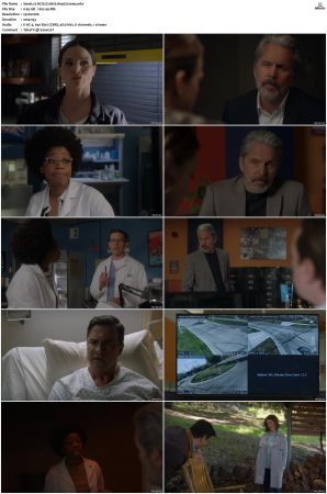NCIS S20 1080p AMZN WEB-DL x265 HEVC DDP 5 1-PHOCiS