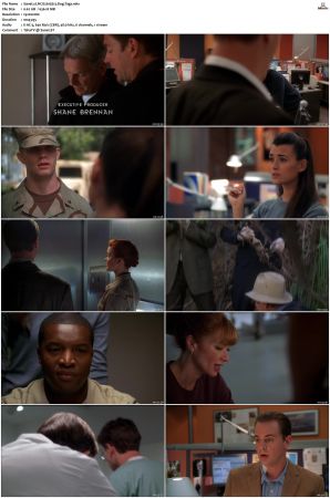 NCIS S05 1080p AMZN WEB-DL x265 HEVC DDP 5 1-PHOCiS