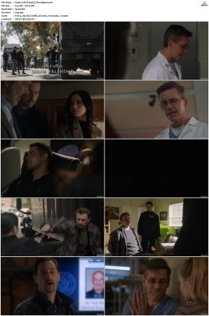 NCIS S19 1080p AMZN WEB-DL x265 HEVC DDP 5 1-PHOCiS
