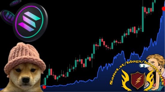 Meme Coin Mastery