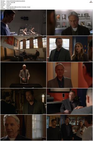 NCIS S16 1080p AMZN WEB-DL x265 HEVC DDP 5 1-PHOCiS