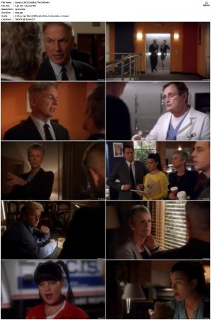 NCIS S09 1080p AMZN WEB-DL x265 HEVC DDP 5 1-PHOCiS