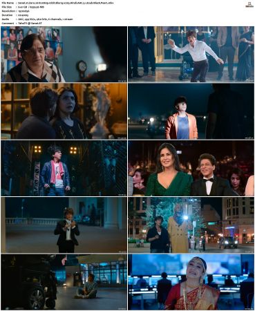 Zero 2018 1080p 10bit Bluray x265 Hindi AAC 5.1 Esub-BlacK PearL
