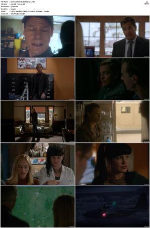 NCIS S13 1080p AMZN WEB-DL x265 HEVC DDP 5 1-PHOCiS
