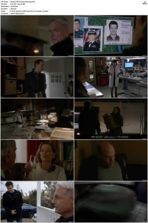 NCIS S14 1080p AMZN WEB-DL x265 HEVC DDP 5 1-PHOCiS
