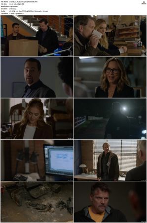 NCIS S17 1080p AMZN WEB-DL x265 HEVC DDP 5 1-PHOCiS