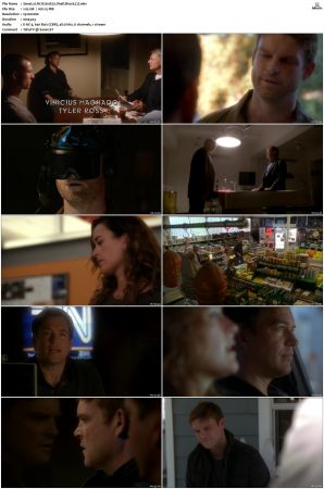 NCIS S10 1080p AMZN WEB-DL x265 HEVC DDP 5 1-PHOCiS