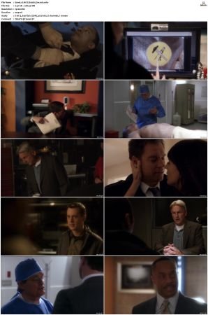 NCIS S09 1080p AMZN WEB-DL x265 HEVC DDP 5 1-PHOCiS