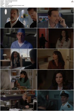 NCIS S19 1080p AMZN WEB-DL x265 HEVC DDP 5 1-PHOCiS