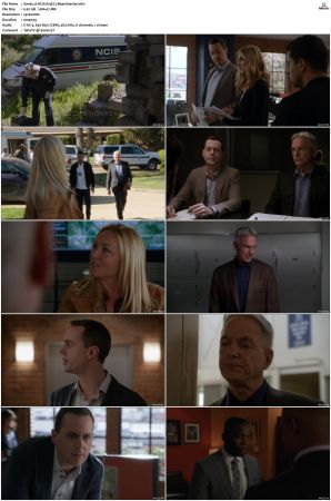 NCIS S14 1080p AMZN WEB-DL x265 HEVC DDP 5 1-PHOCiS