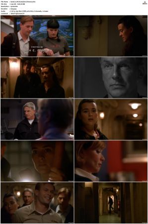 NCIS S05 1080p AMZN WEB-DL x265 HEVC DDP 5 1-PHOCiS