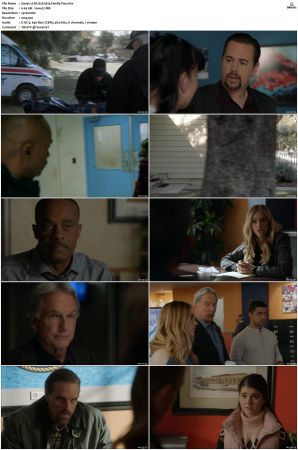 NCIS S15 1080p AMZN WEB-DL x265 HEVC DDP 5 1-PHOCiS