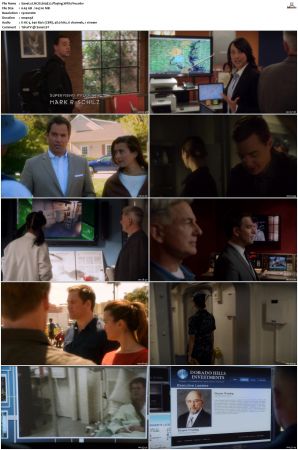 NCIS S09 1080p AMZN WEB-DL x265 HEVC DDP 5 1-PHOCiS