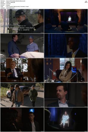 NCIS S19 1080p AMZN WEB-DL x265 HEVC DDP 5 1-PHOCiS
