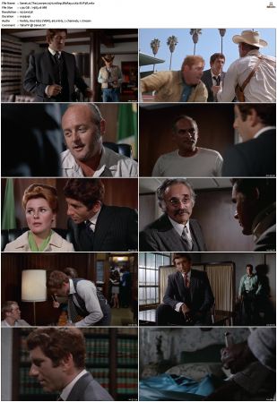 The Lawyer 1970 1080p BluRay x264-SUP3R