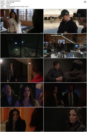 NCIS S20 1080p AMZN WEB-DL x265 HEVC DDP 5 1-PHOCiS