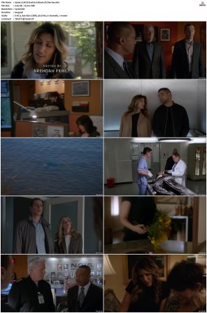 NCIS S14 1080p AMZN WEB-DL x265 HEVC DDP 5 1-PHOCiS