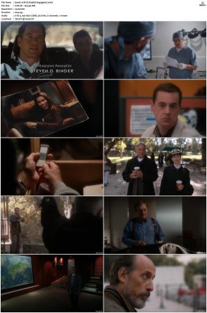 NCIS S09 1080p AMZN WEB-DL x265 HEVC DDP 5 1-PHOCiS