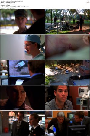 NCIS S02 1080p AMZN WEB-DL x265 HEVC DDP 5 1-PHOCiS