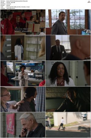 NCIS S17 1080p AMZN WEB-DL x265 HEVC DDP 5 1-PHOCiS