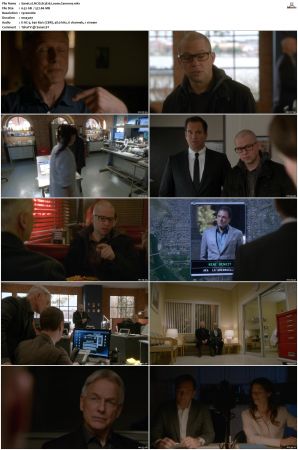 NCIS S13 1080p AMZN WEB-DL x265 HEVC DDP 5 1-PHOCiS