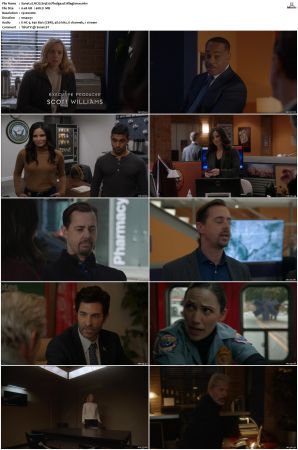 NCIS S19 1080p AMZN WEB-DL x265 HEVC DDP 5 1-PHOCiS