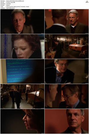 NCIS S05 1080p AMZN WEB-DL x265 HEVC DDP 5 1-PHOCiS