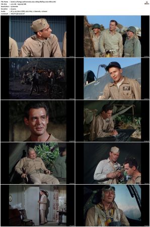Flying Leathernecks 1951 1080p BluRay x264-nikt0