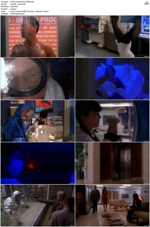 NCIS S02 1080p AMZN WEB-DL x265 HEVC DDP 5 1-PHOCiS