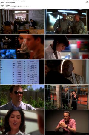 NCIS S02 1080p AMZN WEB-DL x265 HEVC DDP 5 1-PHOCiS