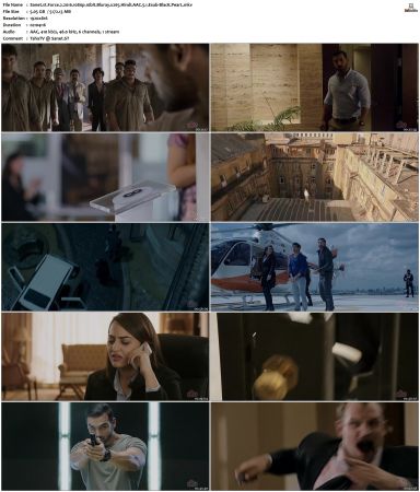 Force 2 2016 1080p 10bit Bluray x265 Hindi AAC 5.1 Esub-BlacK PearL