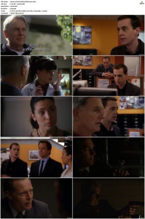 NCIS S08 1080p AMZN WEB-DL x265 HEVC DDP 5 1-PHOCiS