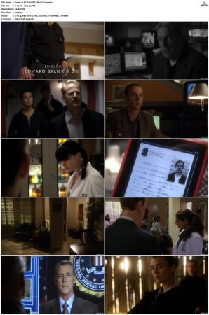 NCIS S08 1080p AMZN WEB-DL x265 HEVC DDP 5 1-PHOCiS