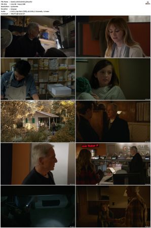 NCIS S16 1080p AMZN WEB-DL x265 HEVC DDP 5 1-PHOCiS