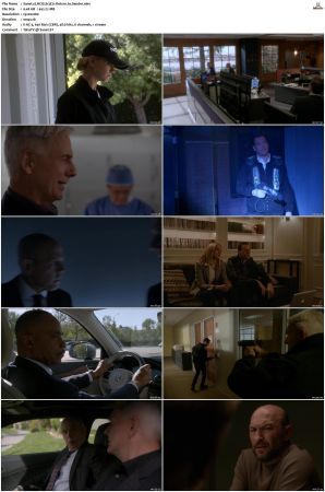 NCIS S13 1080p AMZN WEB-DL x265 HEVC DDP 5 1-PHOCiS
