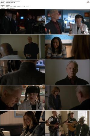 NCIS S13 1080p AMZN WEB-DL x265 HEVC DDP 5 1-PHOCiS