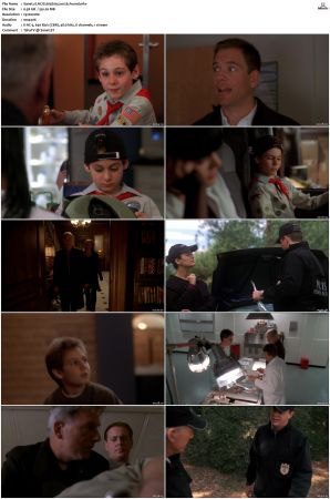 NCIS S05 1080p AMZN WEB-DL x265 HEVC DDP 5 1-PHOCiS