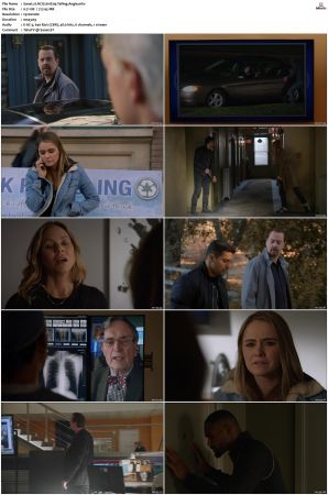 NCIS S16 1080p AMZN WEB-DL x265 HEVC DDP 5 1-PHOCiS