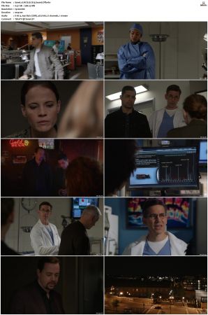 NCIS S17 1080p AMZN WEB-DL x265 HEVC DDP 5 1-PHOCiS