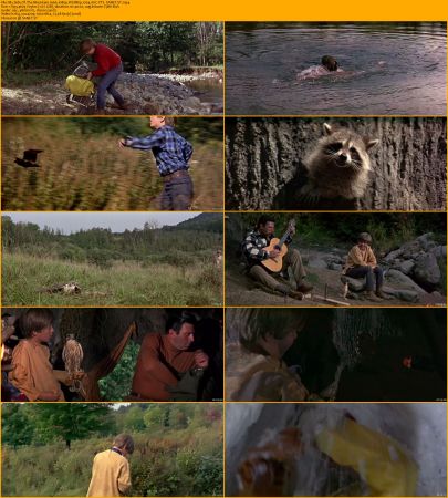 My Side Of The Mountain 1969 1080p WEBRip x264 AAC-YTS