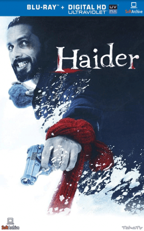 Haider 2014 1080p 10bit Bluray x265 Hindi AAC 5.1 Esub-BlacK PearL