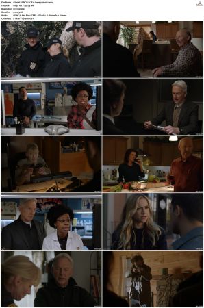 NCIS S17 1080p AMZN WEB-DL x265 HEVC DDP 5 1-PHOCiS