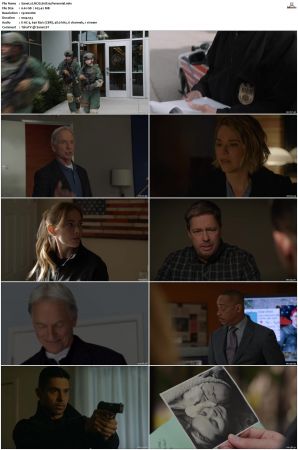 NCIS S16 1080p AMZN WEB-DL x265 HEVC DDP 5 1-PHOCiS