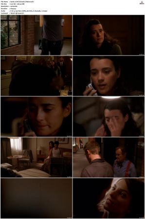 NCIS S04 1080p AMZN WEB-DL x265 HEVC DDP 5 1-PHOCiS